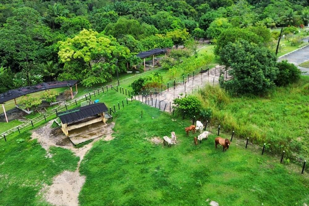 Terreno - Venda - Conde , Paraíba - dji_fly_20250521_065226_314_1747821384401_photo_optimized.jpg - 720871050-31