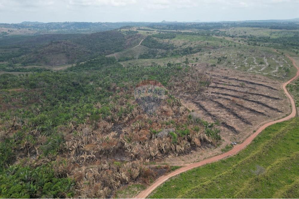 Chácara / Sítio / Fazenda - Venda - Araguaína , Tocantins - DJI_0041.JPG - 720991045-15