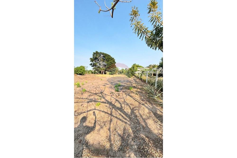 Chácara / Sítio / Fazenda - Venda - Ji-Paraná , Rondônia - WhatsApp Image 2025-08-25 at 16.25.09.jpeg - 722161004-57