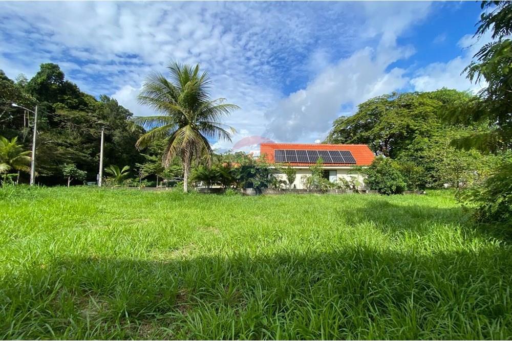 Terreno - Venda - Camaragibe , Pernambuco - WhatsApp Image 2025-06-25 at 18.11.39 (2).jpeg - 720471070-30