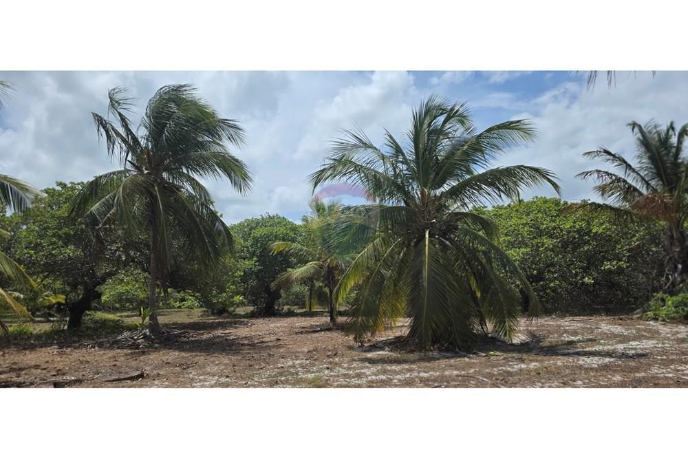 Terreno - Venda - Acaraú , Ceará - 1000304687.jpg - 722341001-114