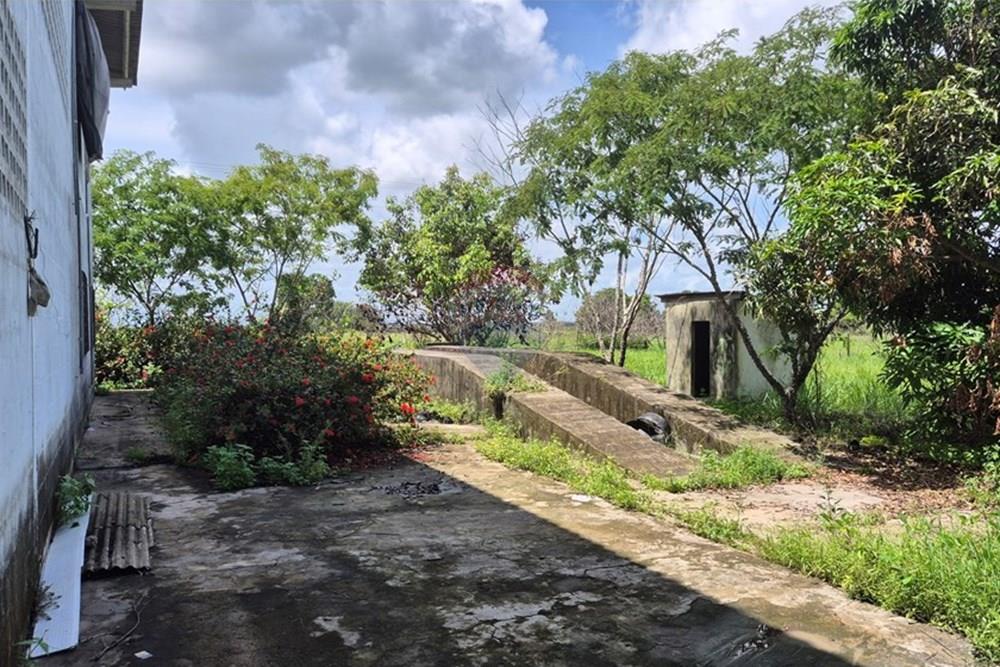 Galpão - Alugar - Pedras de Fogo , Paraíba - 20250207_102200.jpg - 722011055-40