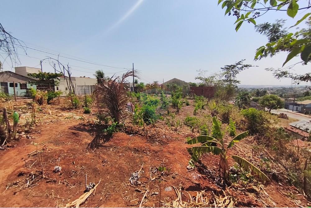 Terreno - Venda - Rondonópolis , Mato Grosso - IMG_20250912_092631.jpg - 722261012-13