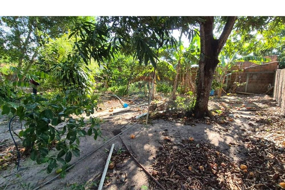 Terreno - Venda - Parnamirim , Rio Grande do Norte - WhatsApp Image 2026-03-02 at 10.05.10.jpeg - 720811040-40