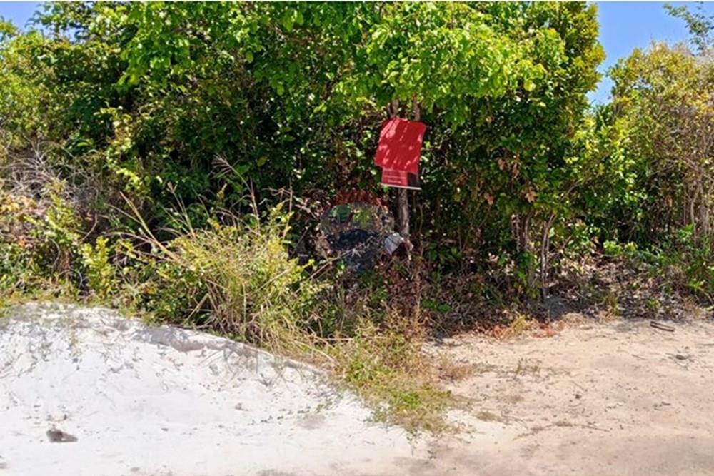 Terreno - Venda - Conde , Paraíba - WhatsApp Image 2025-11-08 at 10.12.08.jpeg - 720871062-6