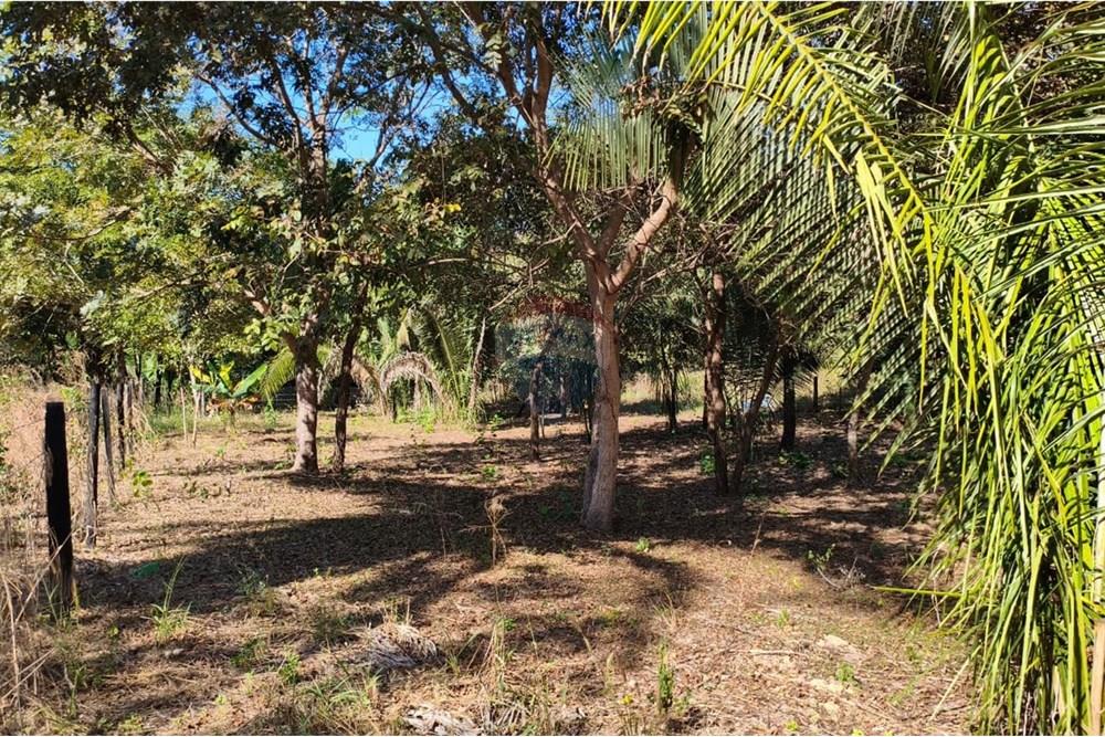 Terreno - Venda - Rondonópolis , Mato Grosso - Imagem do WhatsApp de 2025-08-21 à(s) 13.38.53_3bb5b5ac.jpg - 722261012-23