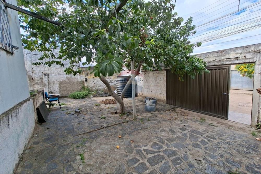 Casa - Venda - Campina Grande , Paraíba - 570a924a-a13a-4fe0-aaac-a721e0a077bf.jpeg - 720291079-29