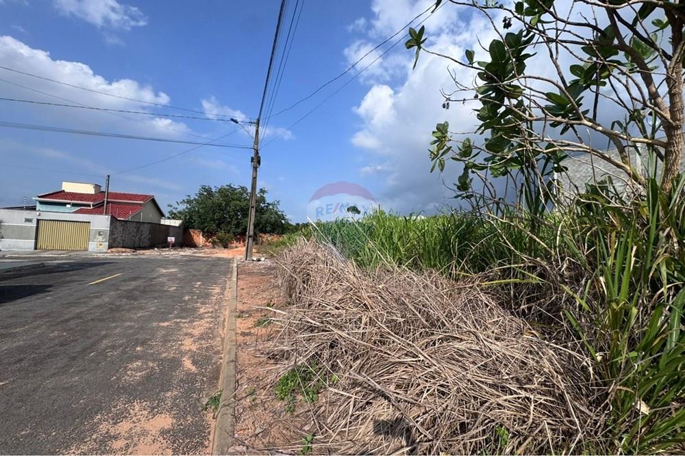 Terreno - Venda - Araguaína , Tocantins - WhatsApp Image 2026-02-02 at 16.34.11 (5).jpeg - 720991002-162