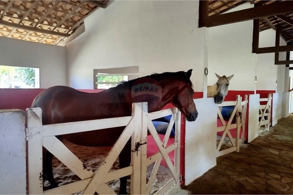 Casa de Condomínio - Venda - Macaíba , Rio Grande do Norte - WhatsApp Image 2026-01-17 at 20.33.27.jpeg - 720891013-267