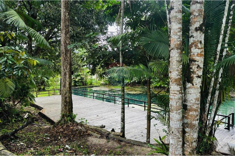 Apartamento - Venda - Belém , Pará - WhatsApp Image 2025-07-11 at 17.20.40.jpeg - 720921005-188