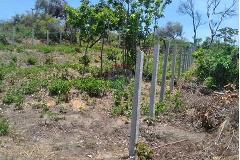 Terreno - Venda - Conde , Paraíba - 1609d00e-9766-446f-aa22-42156e633c5c.jpeg - 720471019-134