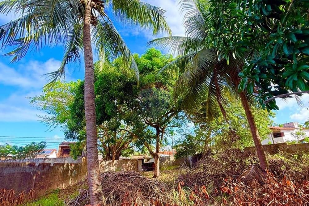 Terreno - Venda - Natal , Rio Grande do Norte - WhatsApp Image 2025-12-04 at 15.27.32 (1).jpeg - 720731001-2488