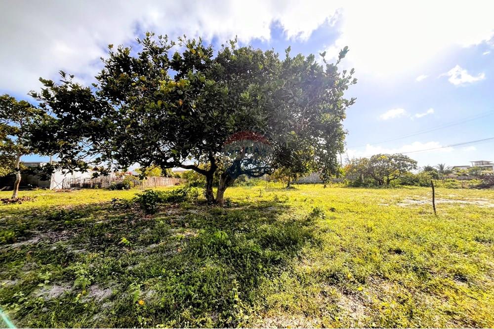 Terreno - Venda - São Miguel do Gostoso , Rio Grande do Norte - WhatsApp Image 2025-06-28 at 14.34.32 (2).jpeg - 720891233-33