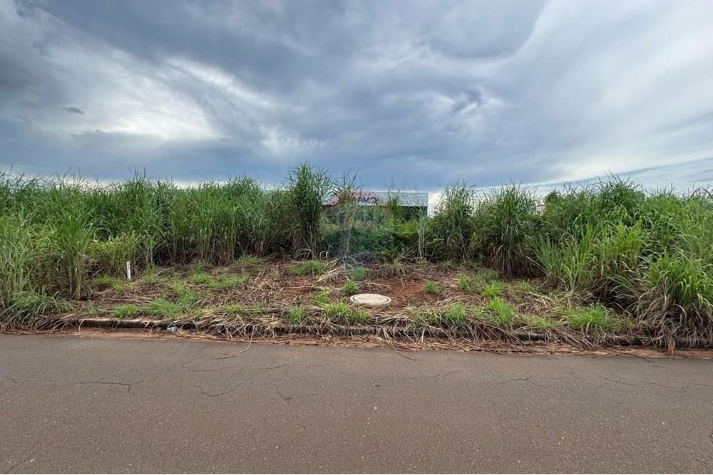 Terreno - Venda - Araguaína , Tocantins - WhatsApp Image 2025-04-09 at 15.39.09 (2).jpeg - 720991002-129