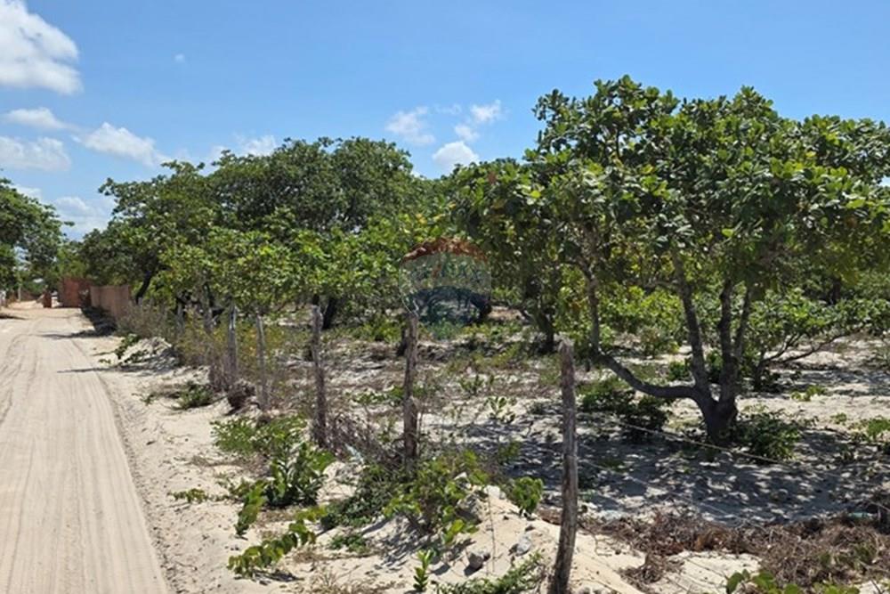 Terreno - Venda - Cruz , Ceará - 1000234225.jpg - 722341001-112