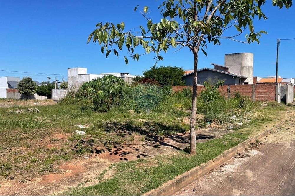 Terreno - Venda - Cacoal , Rondônia - 346.jpg - 722311018-46