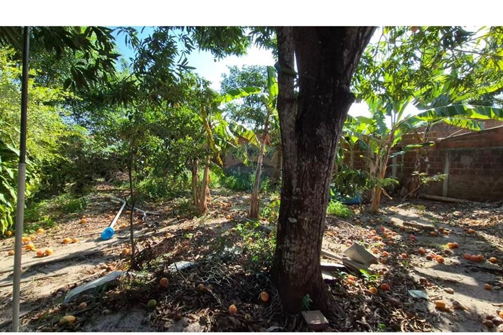 Terreno - Venda - Parnamirim , Rio Grande do Norte - WhatsApp Image 2026-03-02 at 10.05.18 (2).jpeg - 720811040-40