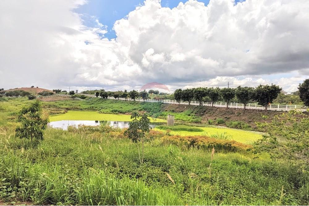 Terreno - Venda - Campina Grande , Paraíba - WhatsApp Image 2025-03-27 at 5.18.57 PM.jpeg - 720881010-181