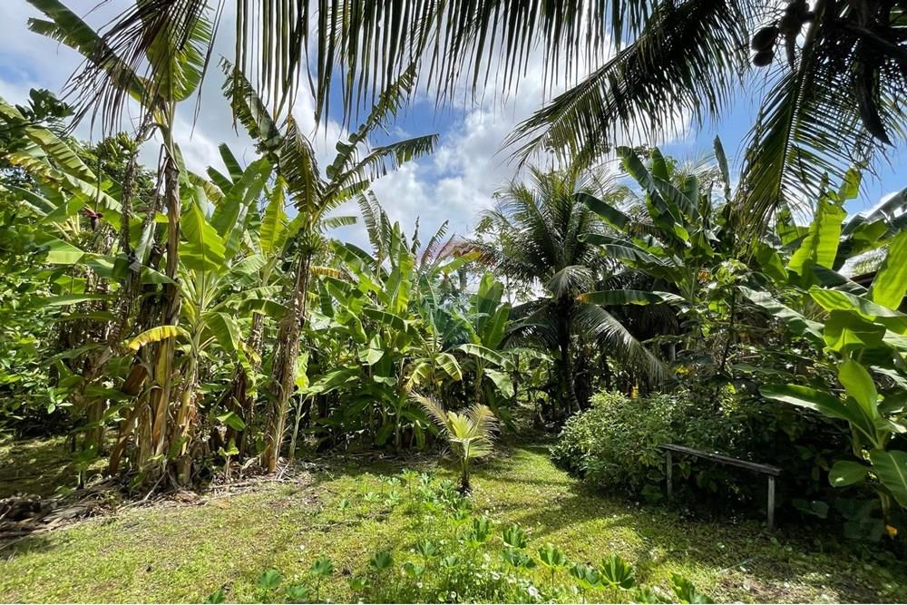 Chalé - Venda - Ceará-Mirim , Rio Grande do Norte - zrtyy.jpeg - 720621057-30