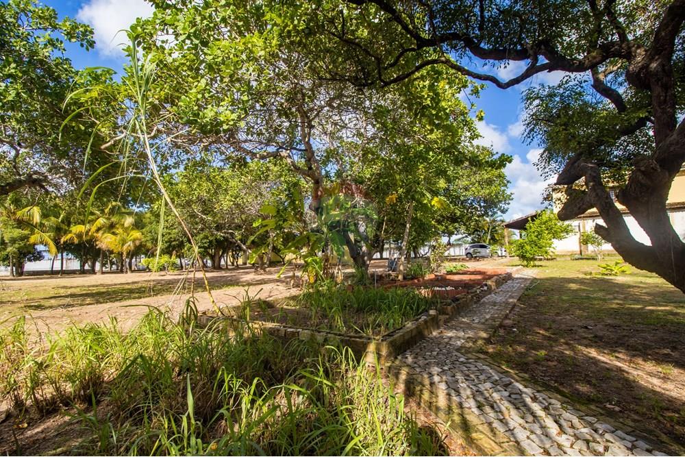 Chácara / Sítio / Fazenda - Venda - Nísia Floresta , Rio Grande do Norte - IMG_8455.jpg - 720891106-33