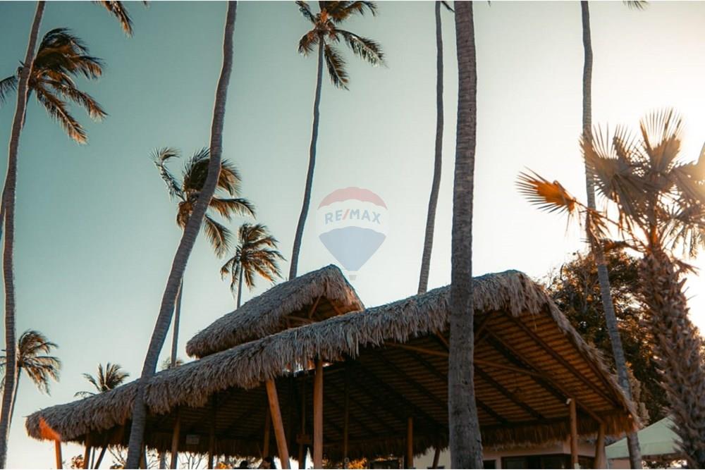 Terreno - Venda - Trairi , Ceará - 1000290780.jpg - 722341005-30