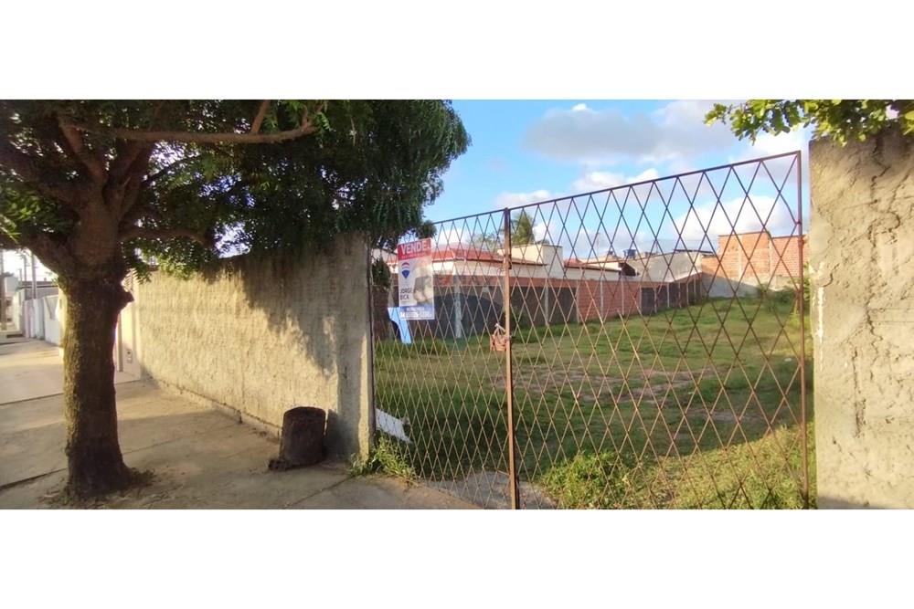 Terreno - Venda - Natal , Rio Grande do Norte - WhatsApp Image 2025-08-22 at 20.59.18 (4).jpeg - 720891003-98