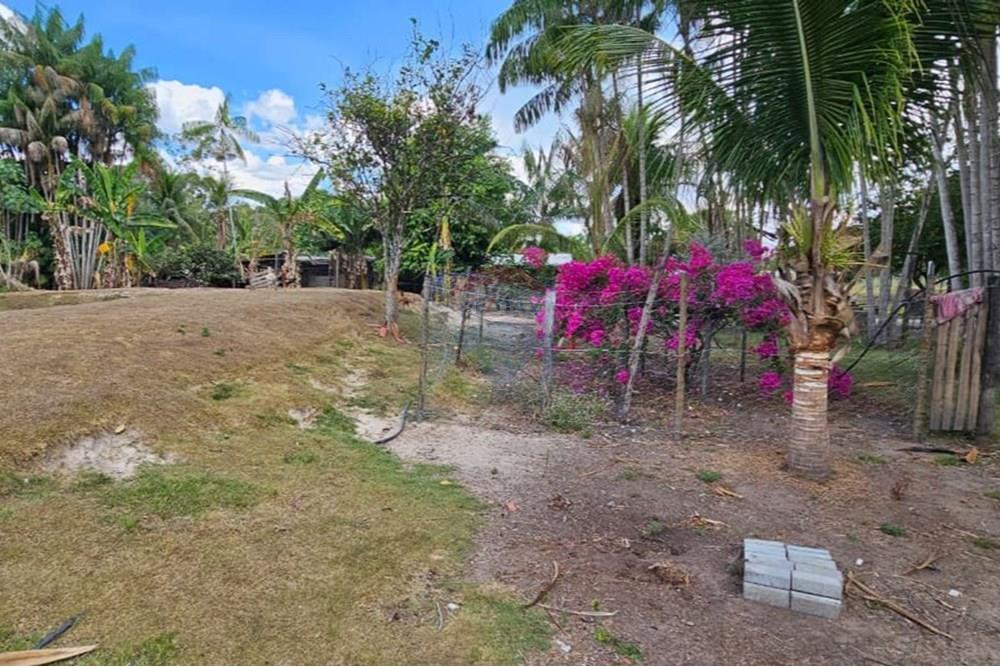 Chácara / Sítio / Fazenda - Venda - Araguaína , Tocantins - WhatsApp Image 2025-08-07 at 15.19.00.jpeg - 722171030-16