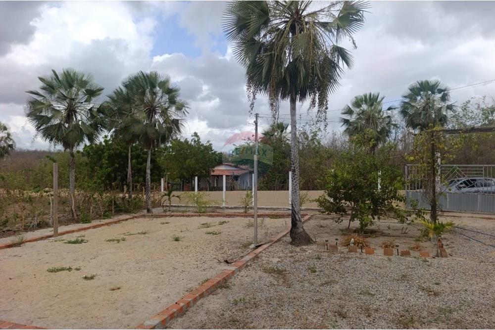 Chácara / Sítio / Fazenda - Venda - Trairi , Ceará - WhatsApp Image 2025-12-11 at 14.25.17.jpeg - 722341005-17