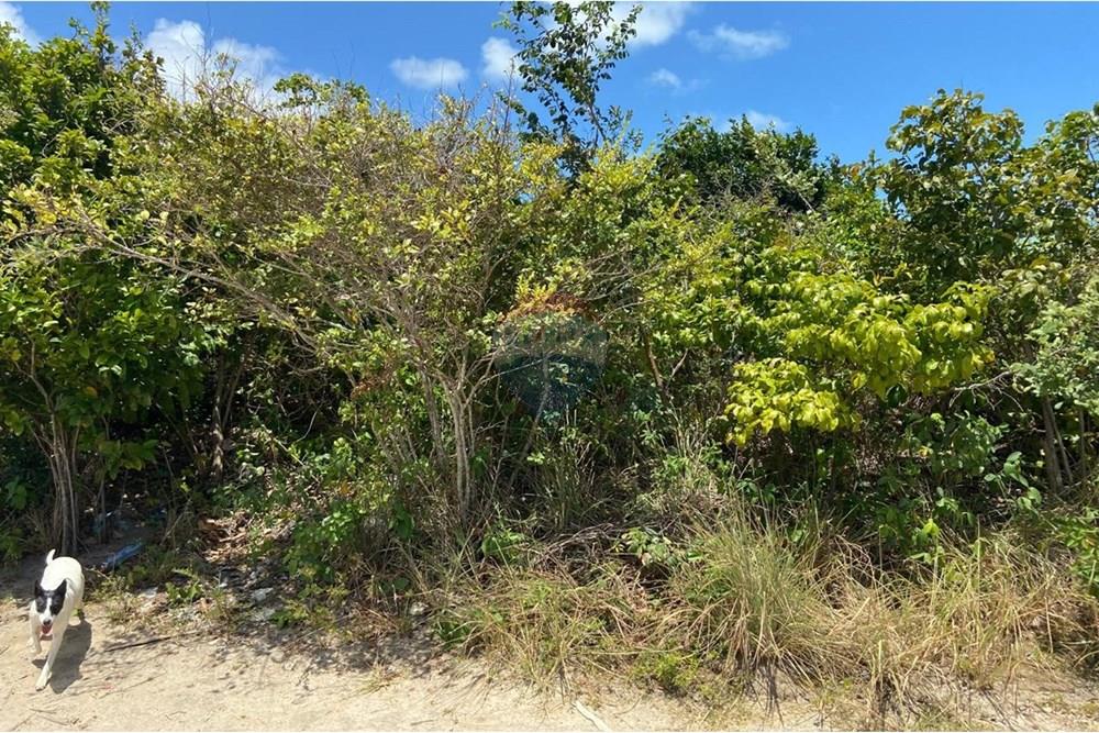 Terreno - Venda - Conde , Paraíba - terreno 2.jpeg - 720871062-6