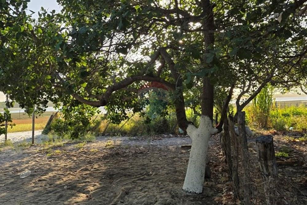 Terreno - Venda - Cruz , Ceará - 1000385879.jpg - 722341001-122