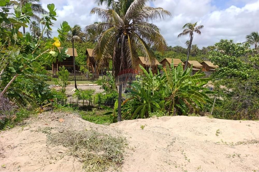 Casa - Venda - Trairi , Ceará - WhatsApp Image 2026-02-28 at 11.09.11 (1).jpeg - 722341005-58