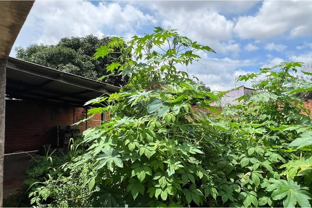 Terreno - Venda - Araguaína , Tocantins - WhatsApp Image 2025-06-03 at 12.01.15 (9).jpeg - 720991038-11