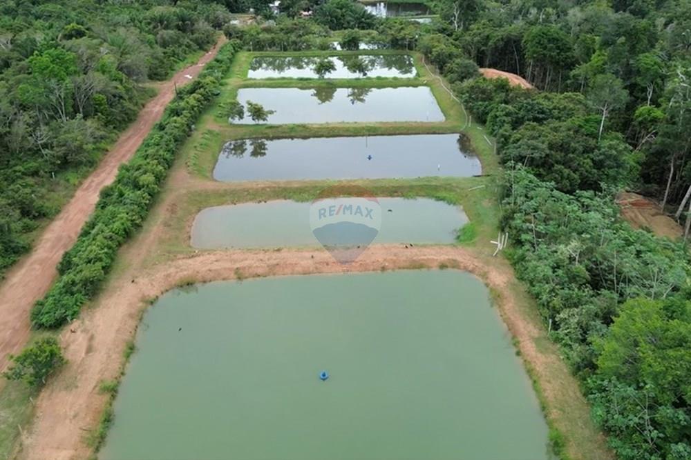 Woningbouw - Boerderij - Novo Airão , Amazonas - BR - Tanques de Peixes9.jpg - 720721055-29