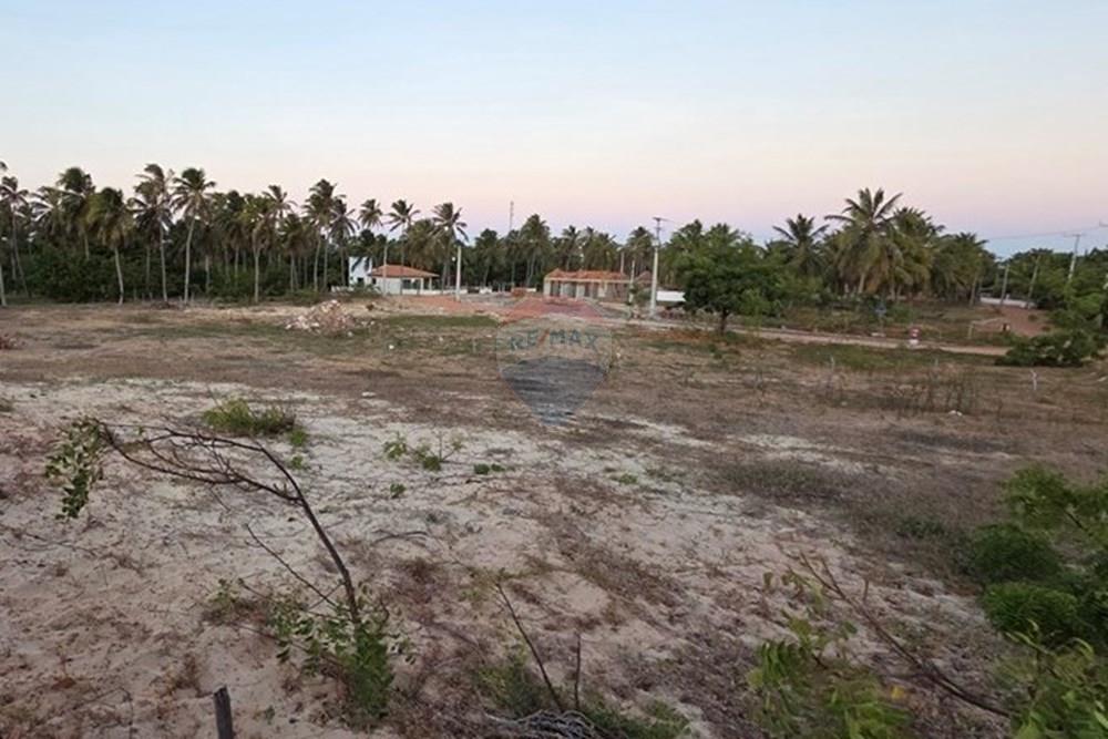 Terreno - Venda - Trairi , Ceará - 1000193871.jpg - 722341001-102