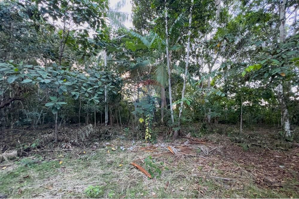 Chácara / Sítio / Fazenda - Venda - Porto Velho , Rondônia - IMG_9900.jpg - 721551046-37