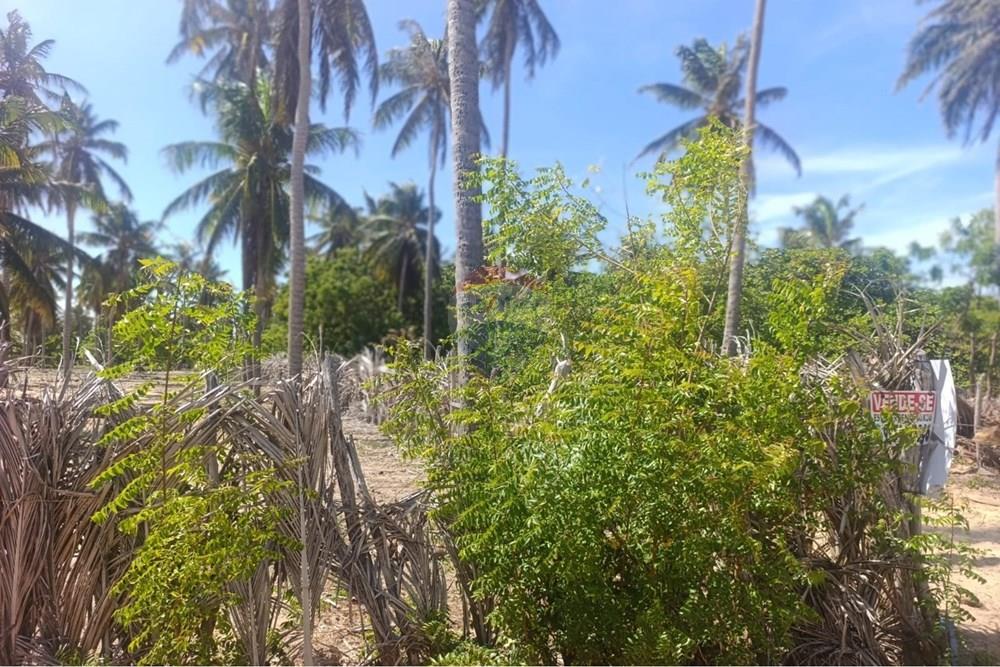 Terreno - Venda - Trairi , Ceará - WhatsApp Image 2026-01-28 at 14.06.01.jpeg - 722341005-47