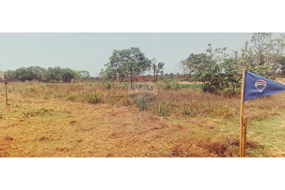 Terreno - Venda - Porto Alegre do Norte , Mato Grosso - 6d3dfac2-898c-412d-9331-f43c872a6bad.jpg - 720641031-20