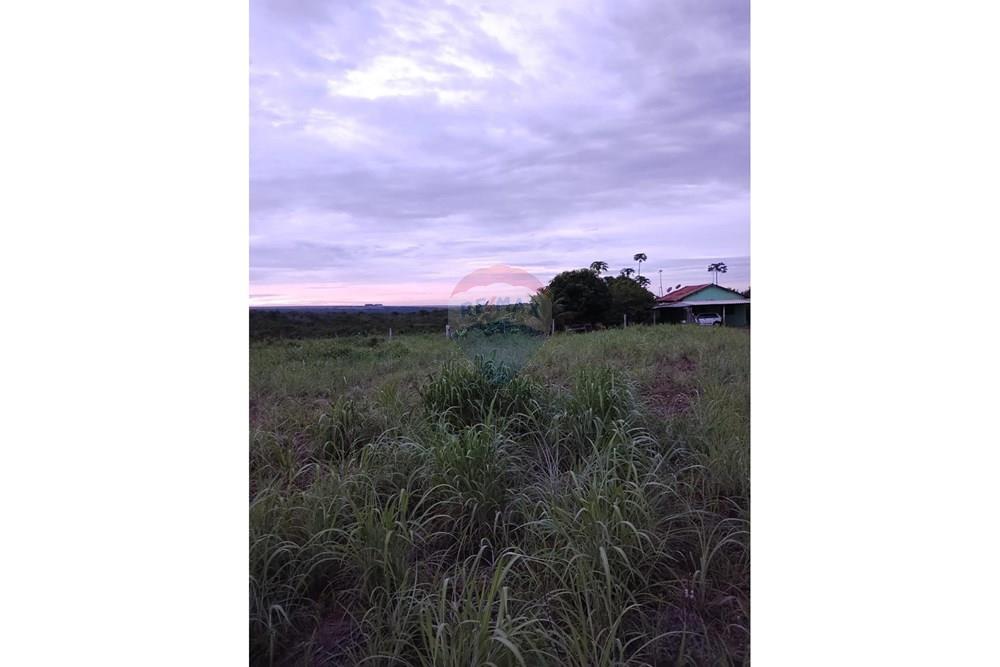 Chácara / Sítio / Fazenda - Venda - Juscimeira , Mato Grosso - WhatsApp Image 2026-03-05 at 10.16.27 (2).jpeg - 721981071-17