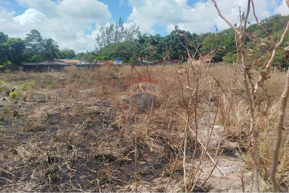 Terreno - Venda - Nísia Floresta , Rio Grande do Norte - WhatsApp Image 2024-11-22 at 21.32.37.jpeg - 720891013-275