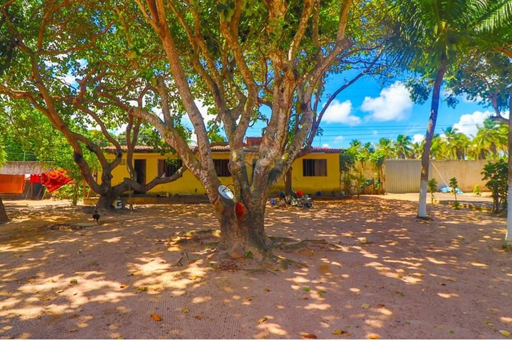 Casa - Venda - Nísia Floresta , Rio Grande do Norte - IMG_5784.jpg - 720891278-1