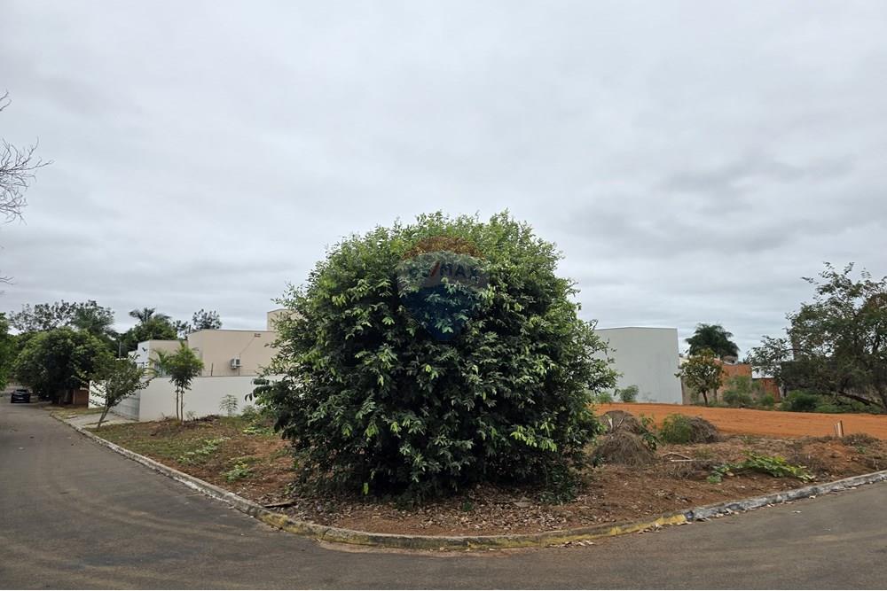 Terreno - Venda - Rondonópolis , Mato Grosso - WhatsApp Image 2025-07-03 at 15.42.33 (3).jpeg - 720851064-29