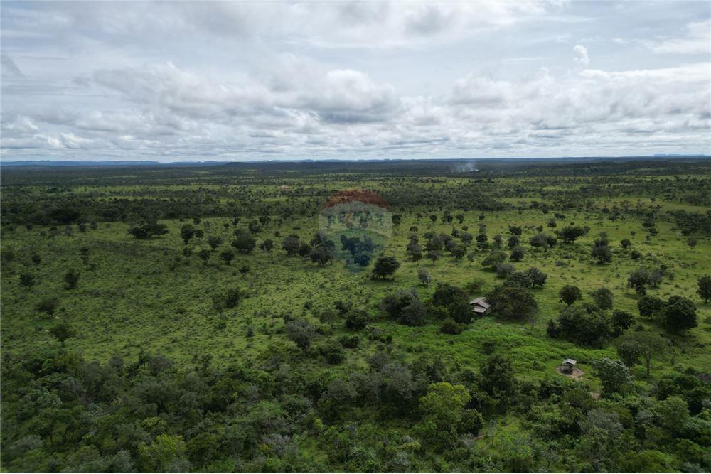 Fazenda - Venda - Carolina , Maranhão - 10 - 720991010-69