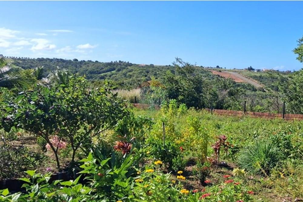 Terreno - Venda - Pitimbu , Paraíba - d71a6eab-4a1d-4c48-b687-a6f83b08da77.jpeg - 720871044-85