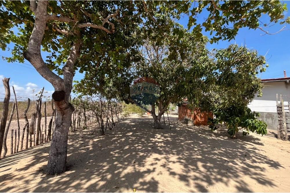 Casa - Venda - Parnaíba , Piauí - WhatsApp Image 2025-12-11 at 10.44.29 (3).jpeg - 722361007-11