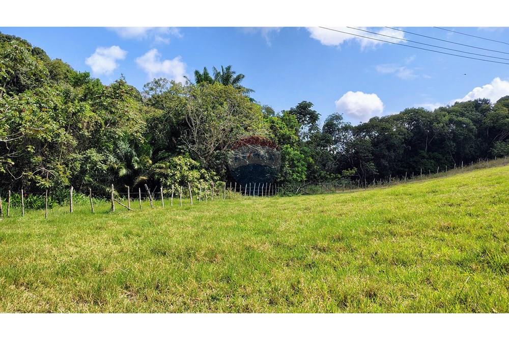 Chácara / Sítio / Fazenda - Venda - Conde , Paraíba - IMG_20251012_130705353_HDR_AE.jpg - 720871055-28