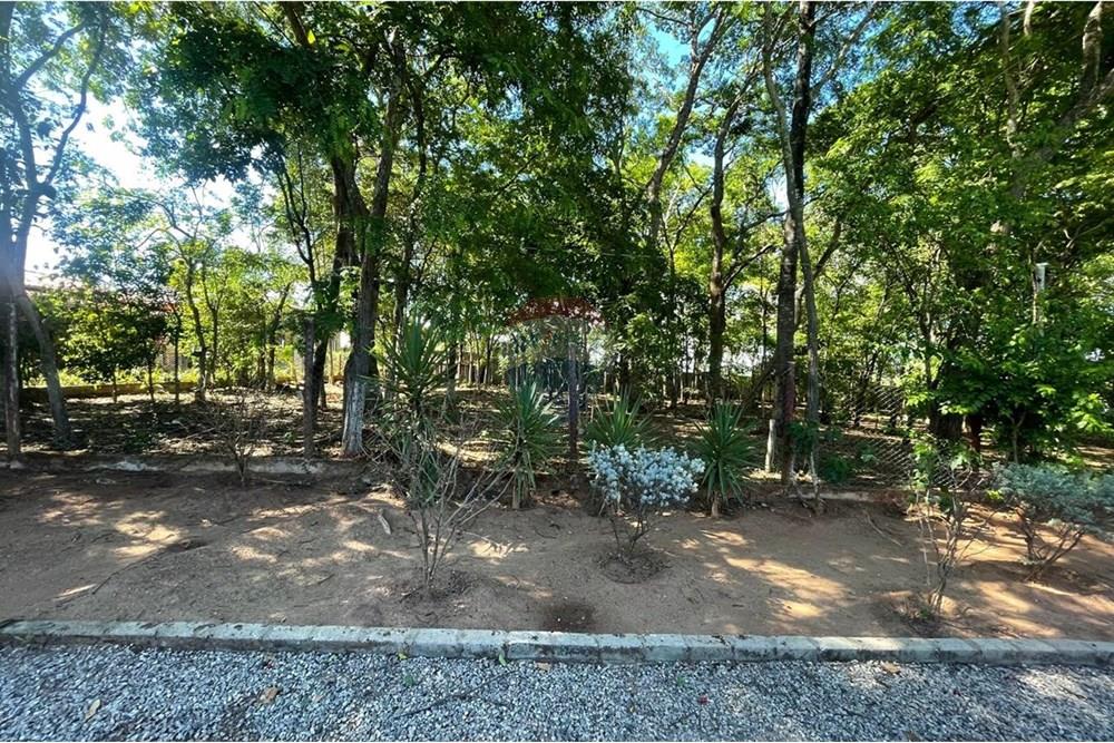 Chácara / Sítio / Fazenda - Venda - Nova Veneza , Goiás - WhatsApp Image 2025-11-18 at 07.24.53 (3).jpeg - 722271015-32