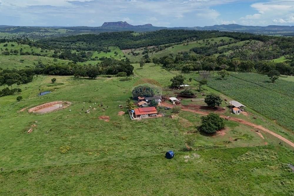 Chácara / Sítio / Fazenda - Venda - Juscimeira , Mato Grosso - WhatsApp Image 2026-02-03 at 16.05.13 (3).jpeg - 722201031-2