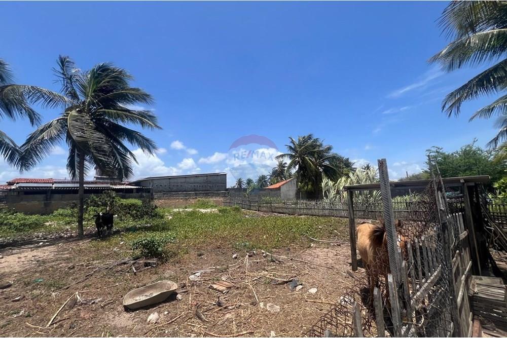 Casa - Venda - Natal , Rio Grande do Norte - WhatsApp Image 2025-12-09 at 14.41.33 (1).jpeg - 720731004-474