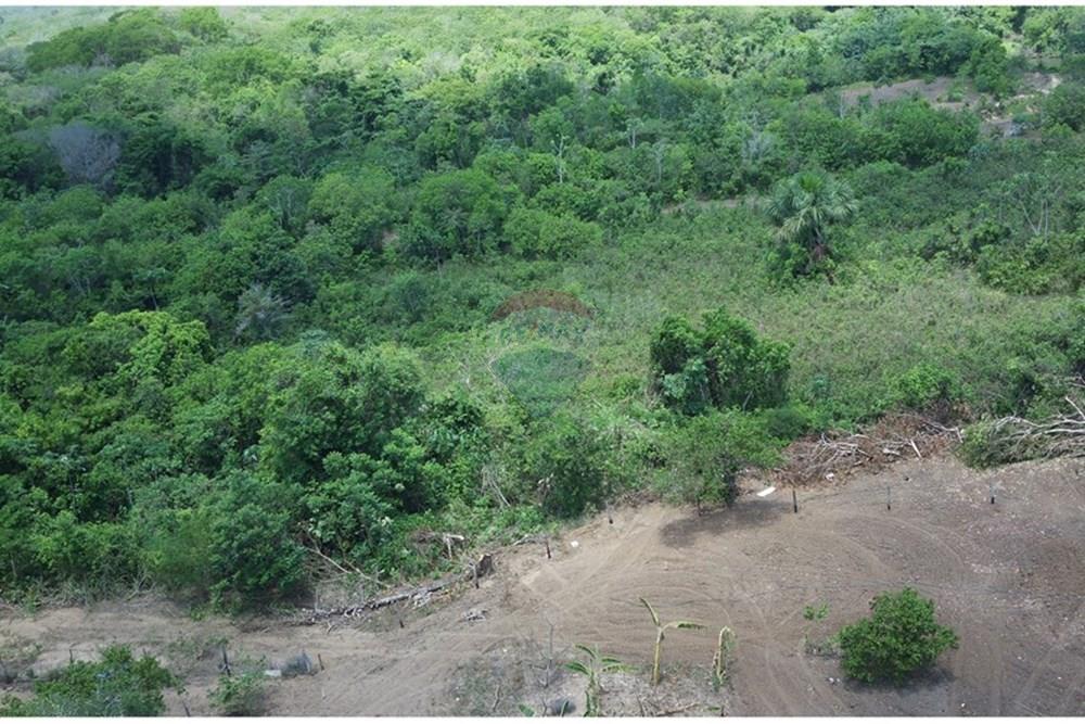 Chácara / Sítio / Fazenda - Venda - Dom Aquino , Mato Grosso - IMG_7840.JPG - 720611016-36