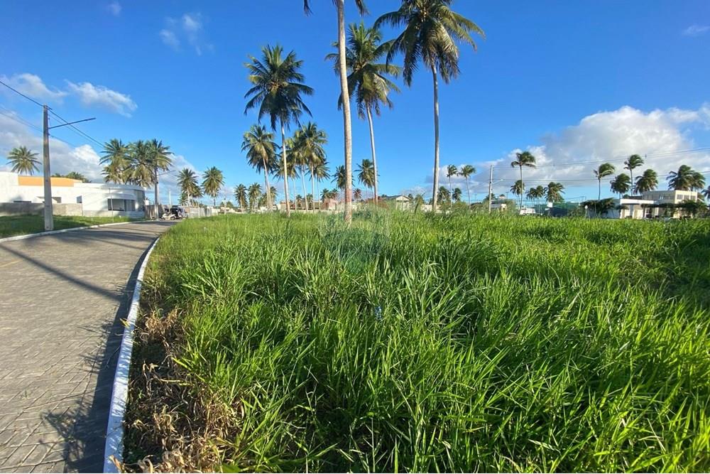 Terreno - Venda - Parnamirim , Rio Grande do Norte - 3f02788e-05a9-4b86-9a9a-b94d67bedf18.jpg - 720891155-325
